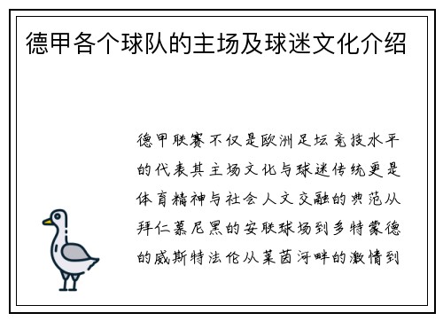 德甲各个球队的主场及球迷文化介绍